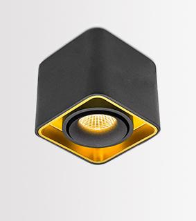 Nautilus