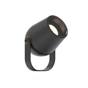CITRO 6  SS COB