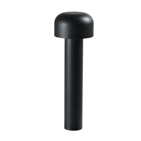 MUSHROOM 7 383