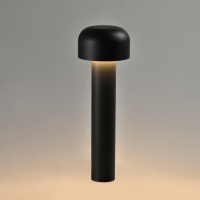 MUSHROOM 7 383