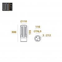 PAULE 300